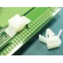 Cable tie mount CCMW