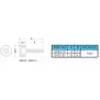Screw Plastic Foot GPE30