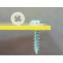 Screw washer KWS